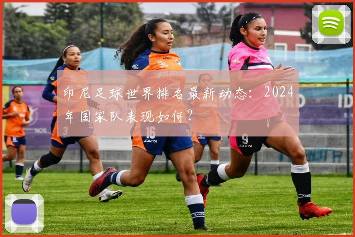 印尼足球世界排名最新动态：2024年国家队表现如何？