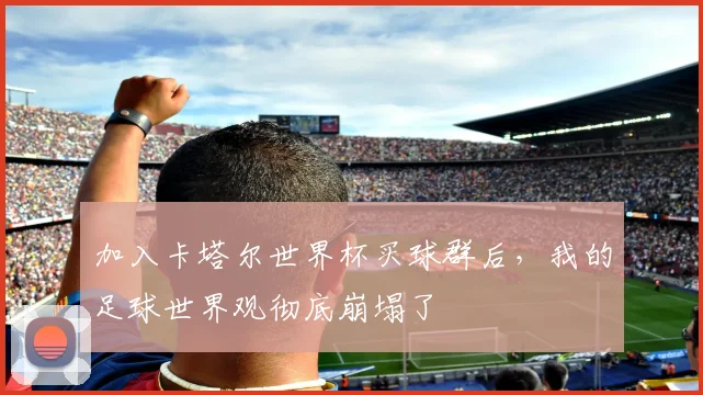 加入卡塔尔世界杯买球群后,我的足球世界观彻底崩塌了