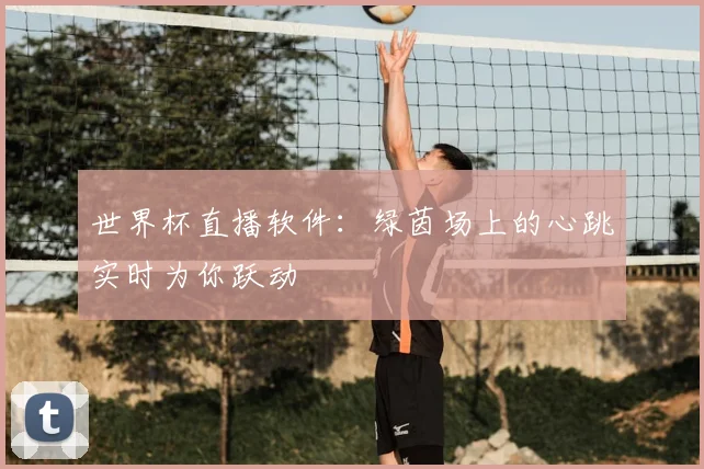 世界杯直播软件:绿茵场上的心跳实时为你跃动