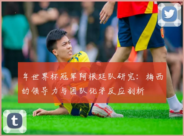 年世界杯冠军阿根廷队研究：梅西的领导力与团队化学反应剖析