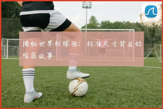 揭秘世界杯球场：标准尺寸背后的绿茵故事