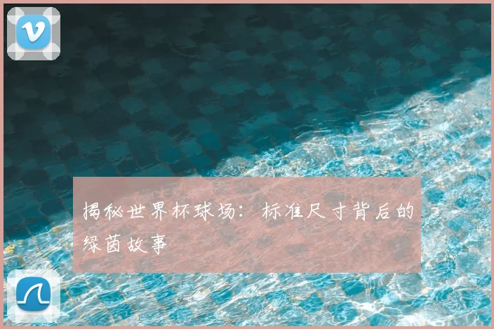 揭秘世界杯球场：标准尺寸背后的绿茵故事