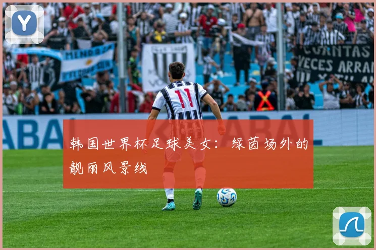 韩国世界杯足球美女：绿茵场外的靓丽风景线