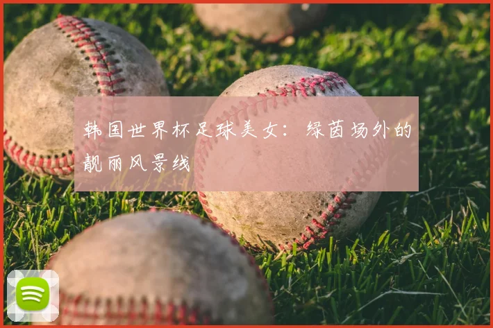 韩国世界杯足球美女：绿茵场外的靓丽风景线