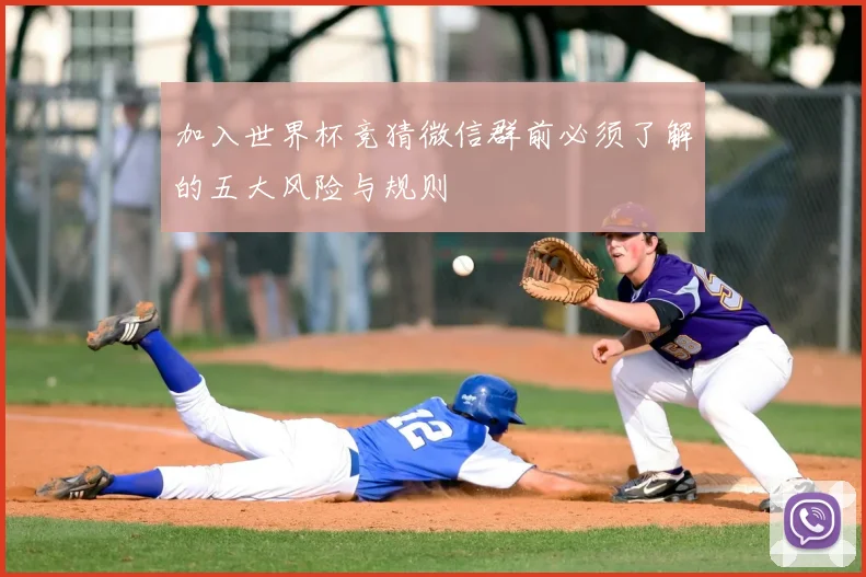加入世界杯竞猜微信群前必须了解的五大风险与规则