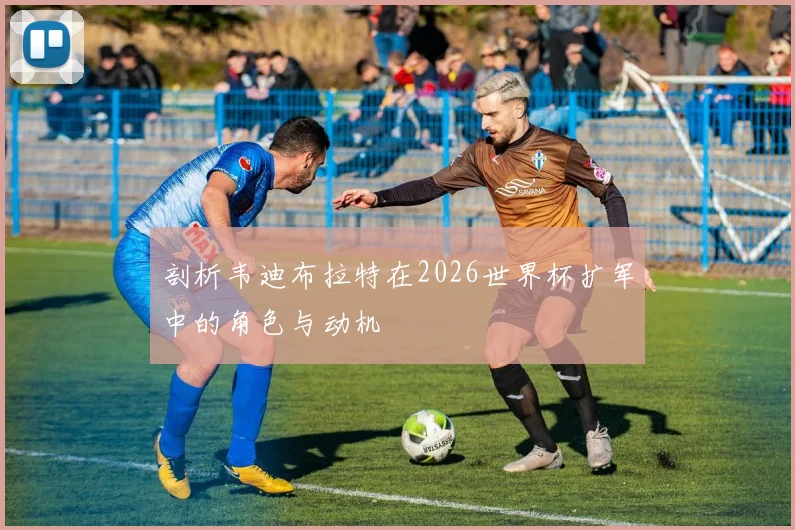 剖析韦迪布拉特在2026世界杯扩军中的角色与动机