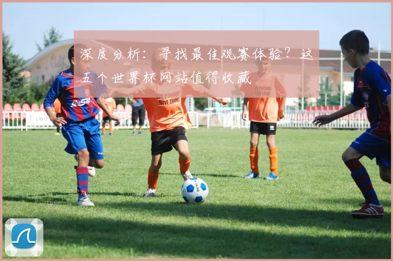 深度分析:寻找最佳观赛体验?这五个世界杯网站值得收藏