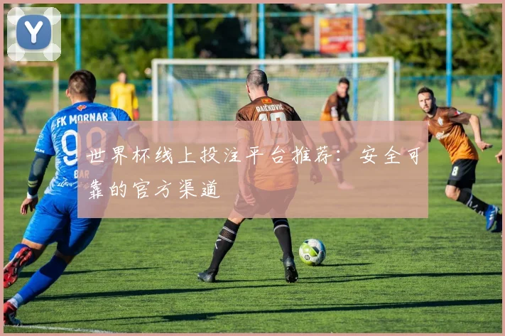 世界杯线上投注平台推荐：安全可靠的官方渠道