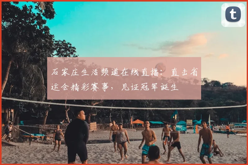 石家庄生活频道在线直播：直击省运会精彩赛事，见证冠军诞生