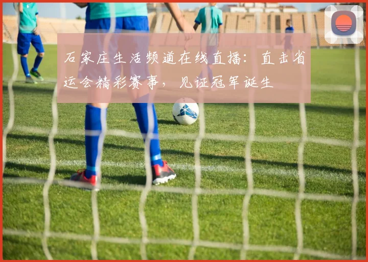 石家庄生活频道在线直播：直击省运会精彩赛事，见证冠军诞生