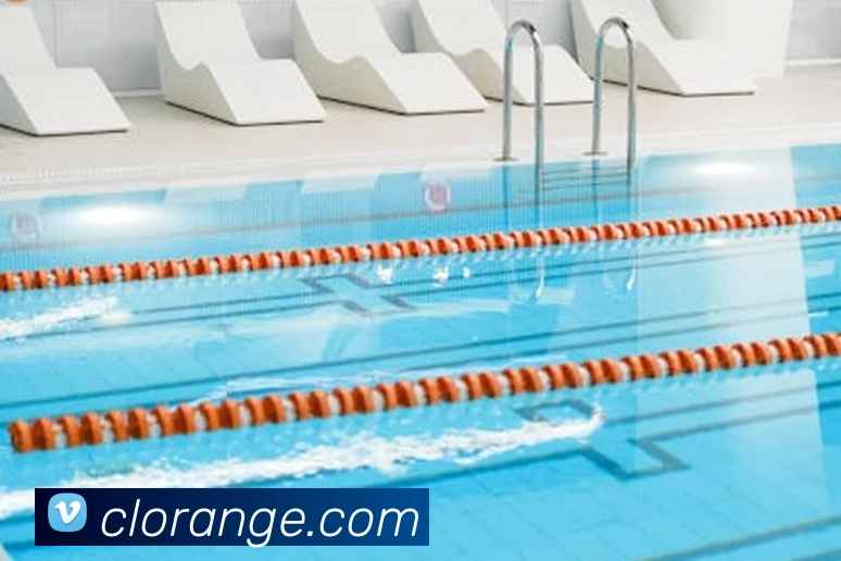 奇异果体育app更名了吗平台生态图